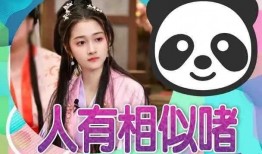 娱乐吃瓜君最新爆料小说,小说世界里的惊天秘密大曝光！